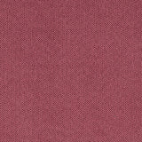 Raspberry
