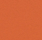 2211 tangerine zest